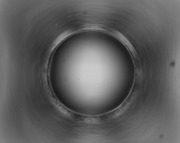 X0000102231002200807251231