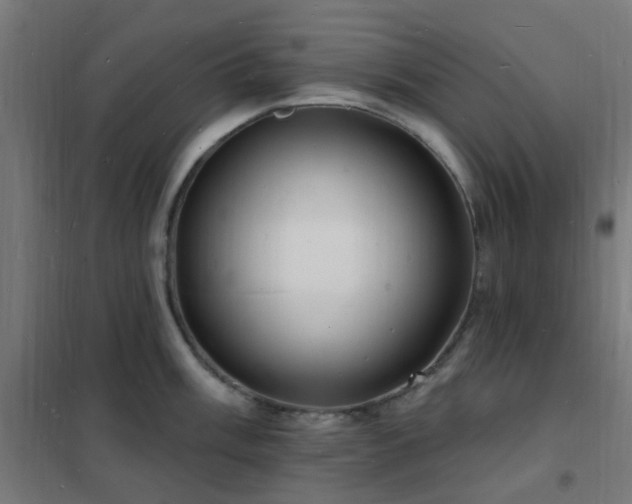 X0000102231003200807251231