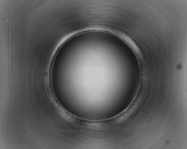 X0000102231004200807251231
