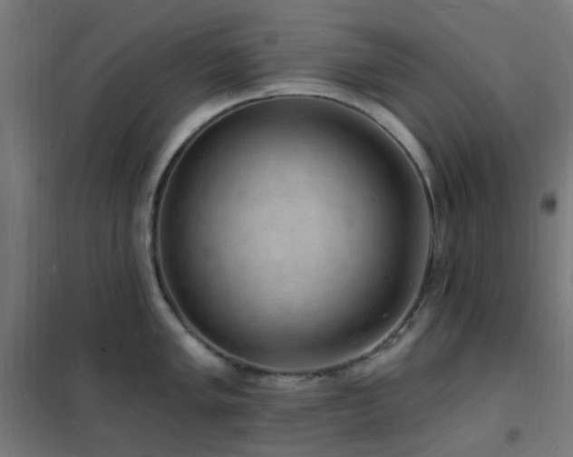 X0000102231005200807251231