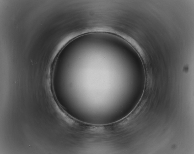 X0000102231006200807251231