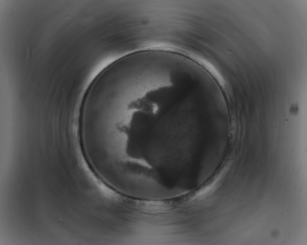 X0000102231007200807251231