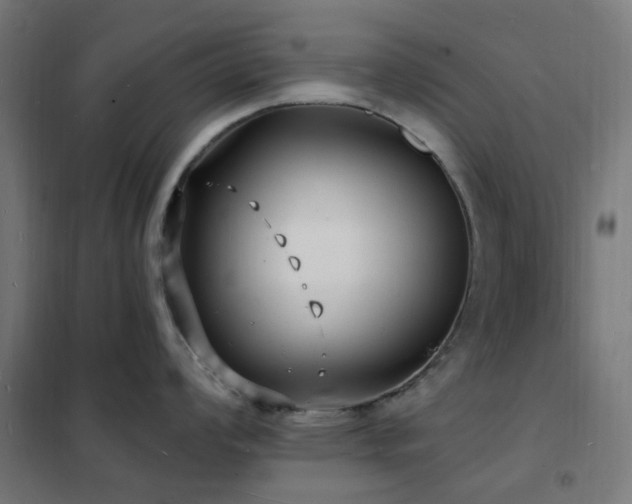 X0000102231008200807251231