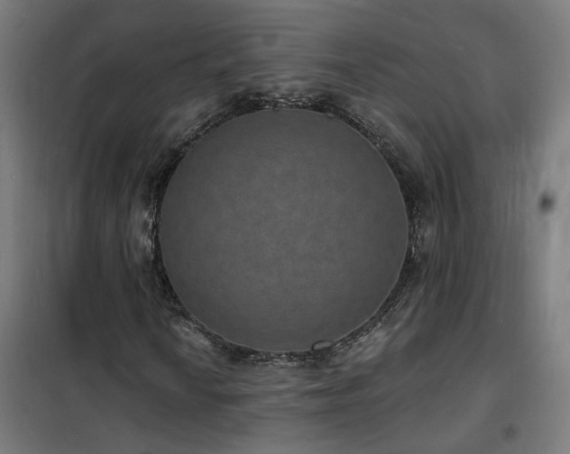 X0000102231010200807251230