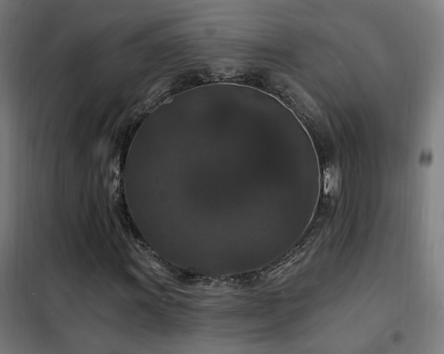 X0000102231011200807251230