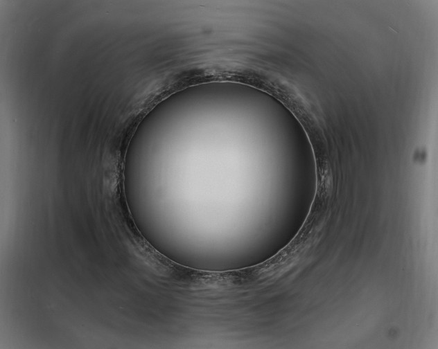 X0000102231012200807251230