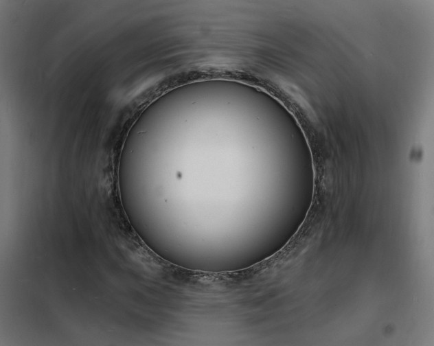 X0000102231015200807251230