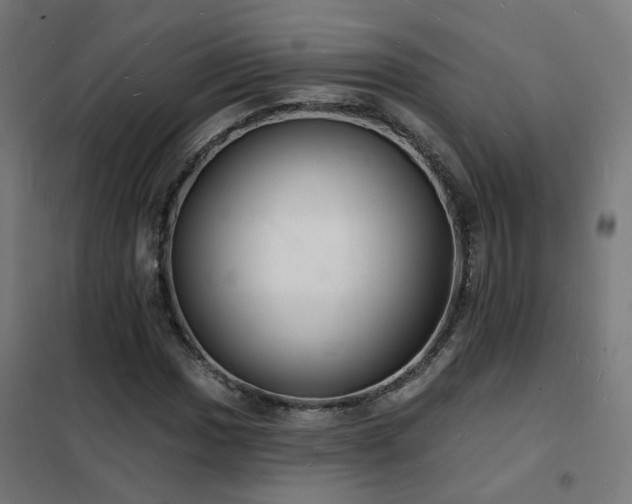X0000102231017200807251230