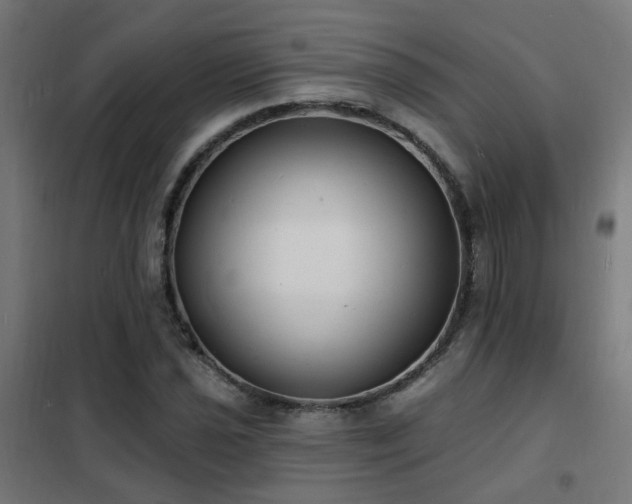 X0000102231021200807251230