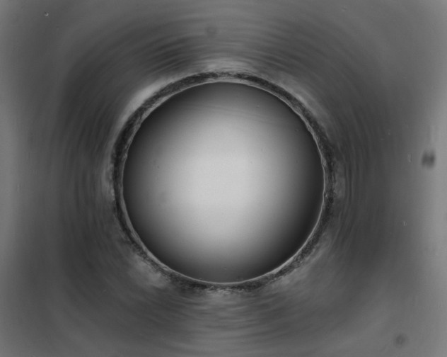 X0000102231022200807251230