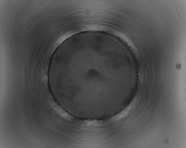 X0000102231025200807251230