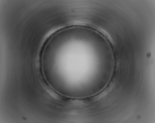 X0000102231027200807251230