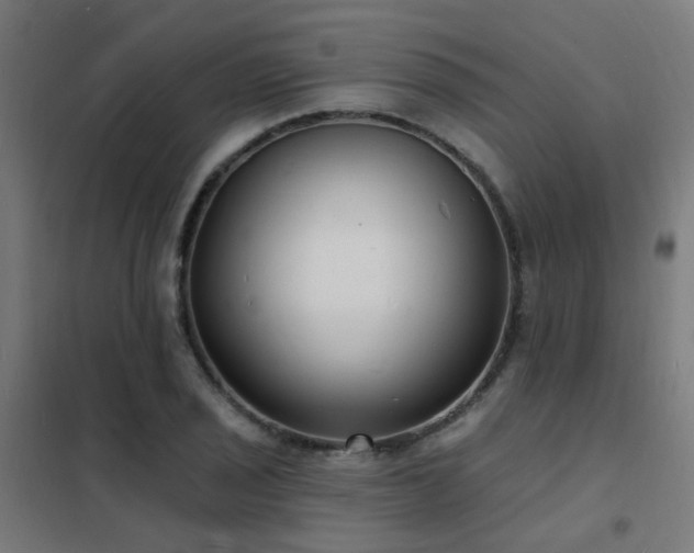 X0000102231029200807251230