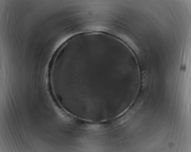 X0000102231031200807251230