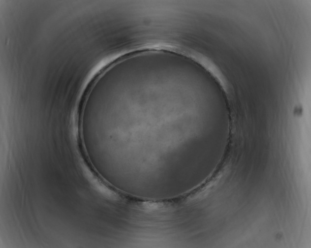 X0000102231032200807251230