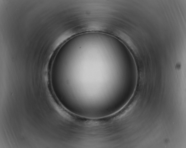 X0000102231034200807251230