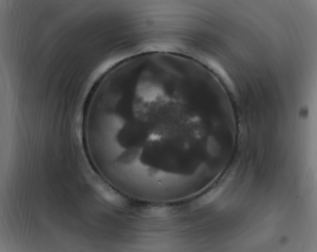 X0000102231035200807251230