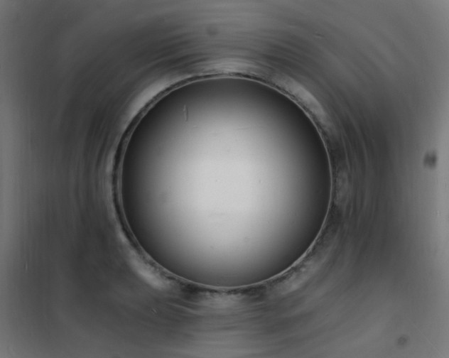 X0000102231039200807251230