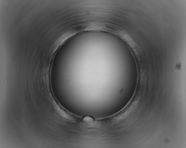 X0000102231041200807251230