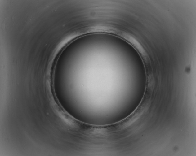 X0000102231043200807251230