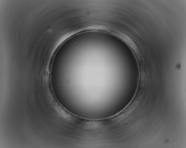 X0000102231044200807251230