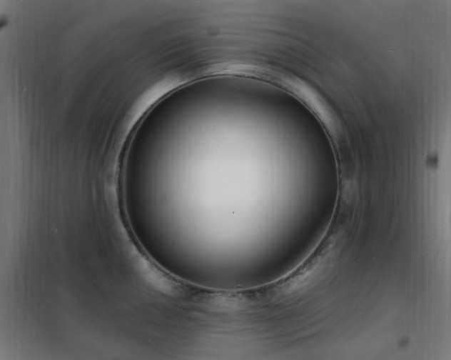 X0000102231050200807251230