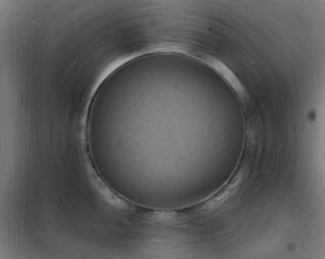 X0000102231052200807251231