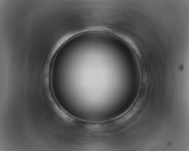 X0000102231054200807251231