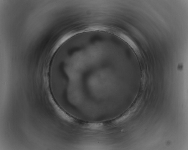 X0000102231055200807251231