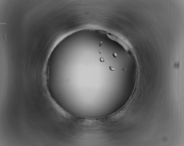 X0000102231056200807251231