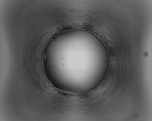 X0000102231057200807251230