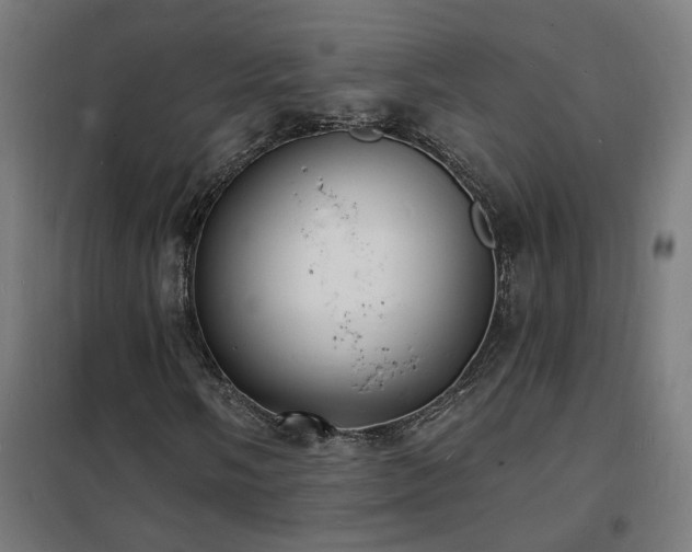 X0000102231058200807251230