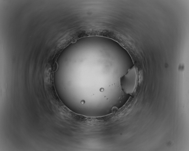 X0000102231059200807251230