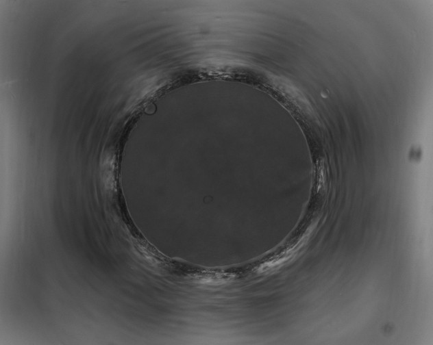 X0000102231060200807251230