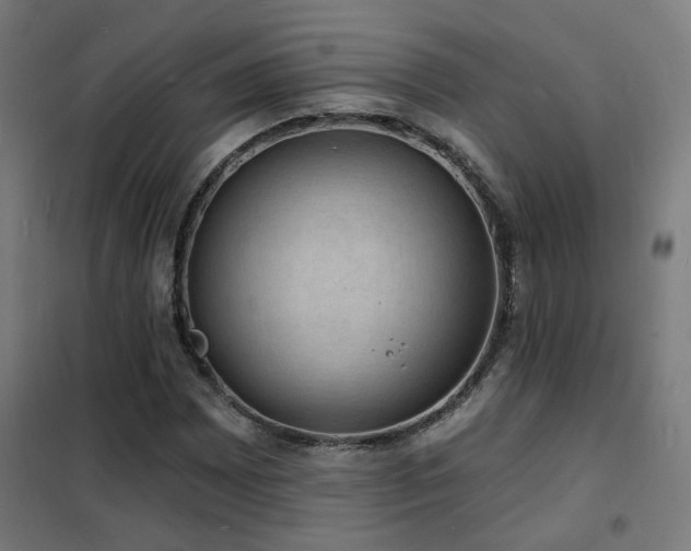 X0000102231065200807251230