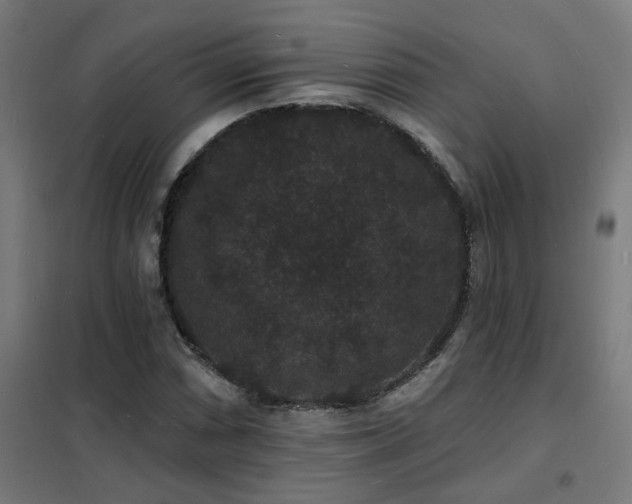 X0000102231066200807251230