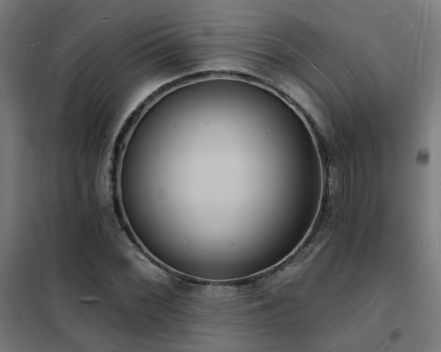X0000102231068200807251230