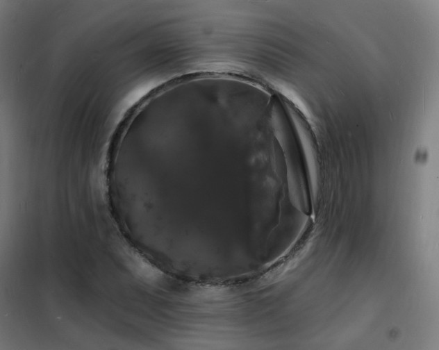 X0000102231071200807251230