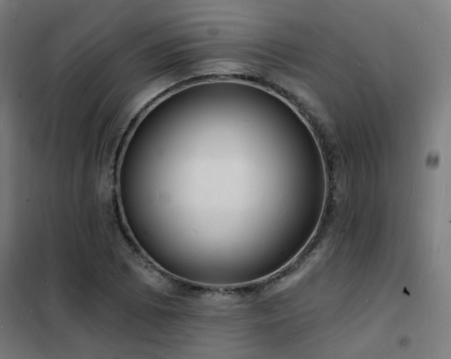 X0000102231073200807251230