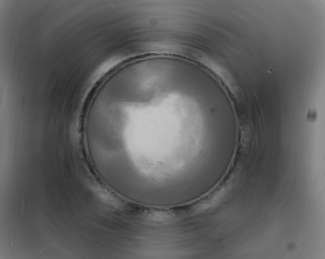 X0000102231074200807251229