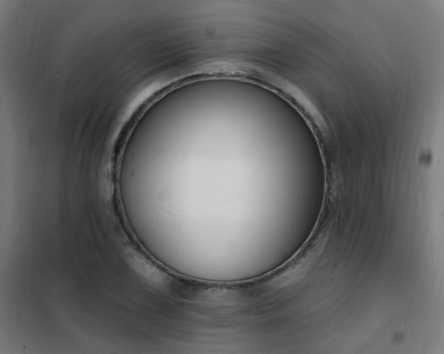 X0000102231075200807251229