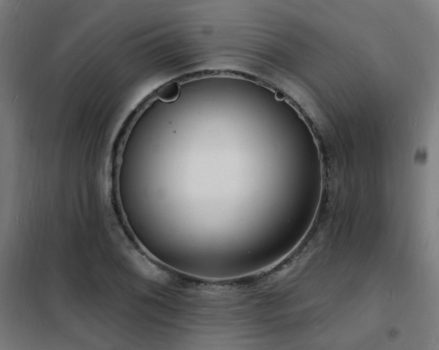 X0000102231076200807251229