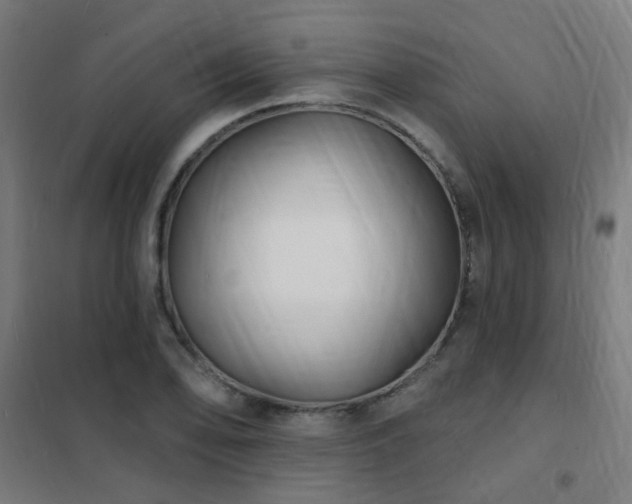 X0000102231078200807251229