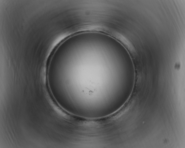 X0000102231079200807251229