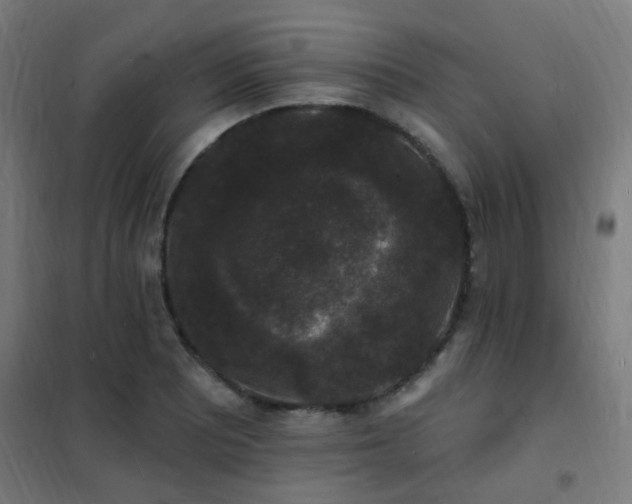 X0000102231081200807251229