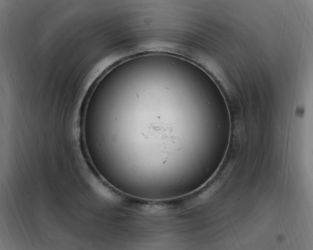 X0000102231082200807251229