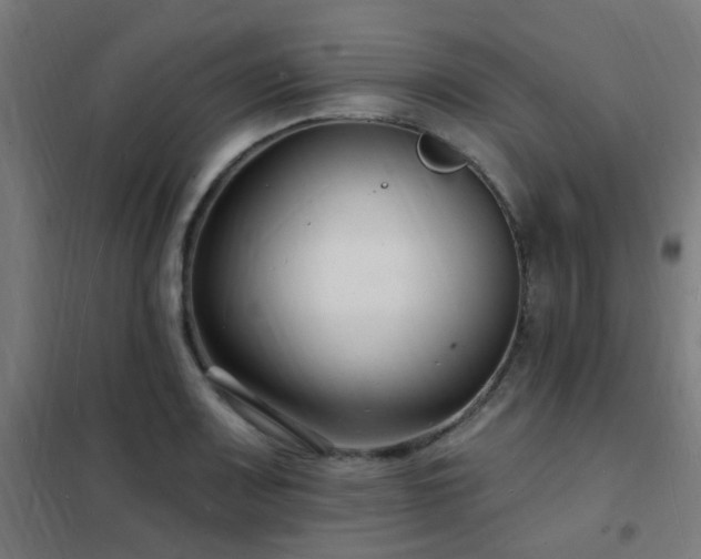 X0000102231083200807251229