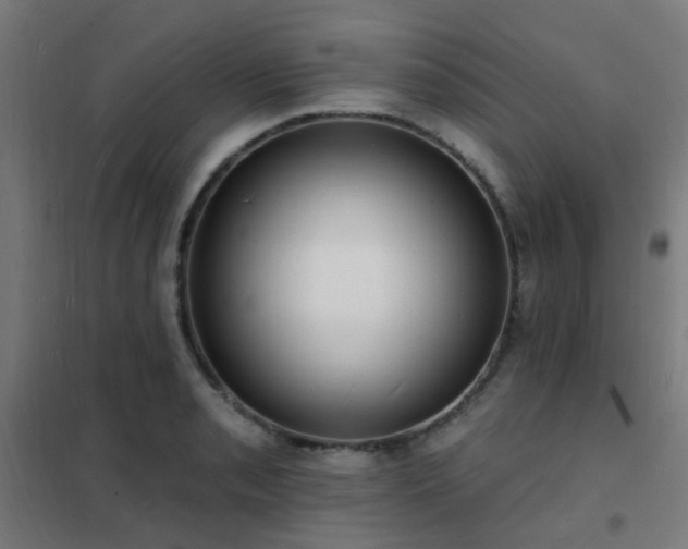 X0000102231085200807251229