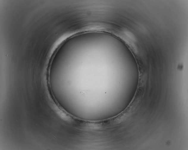 X0000102231086200807251229