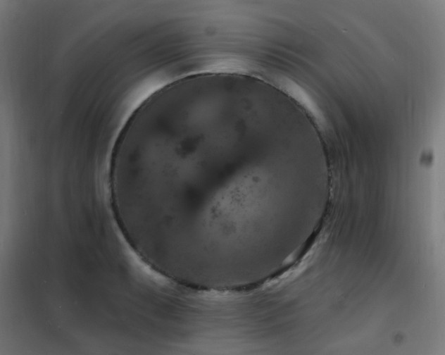X0000102231087200807251229